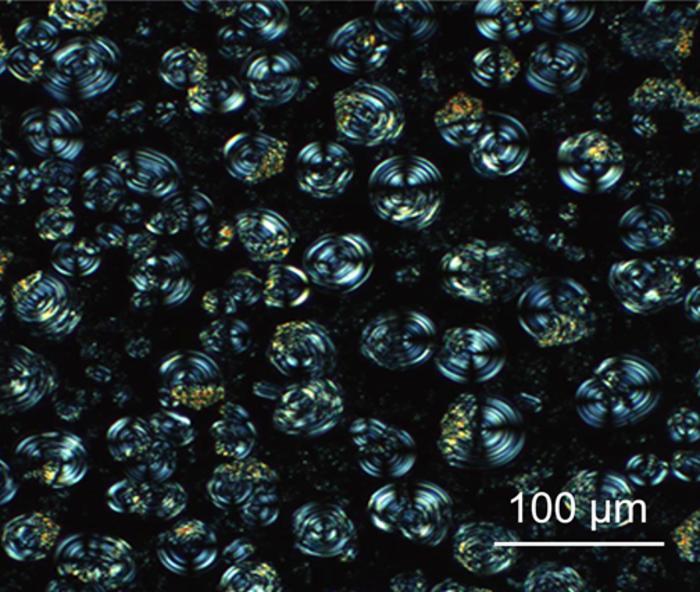 Polarised microscope image