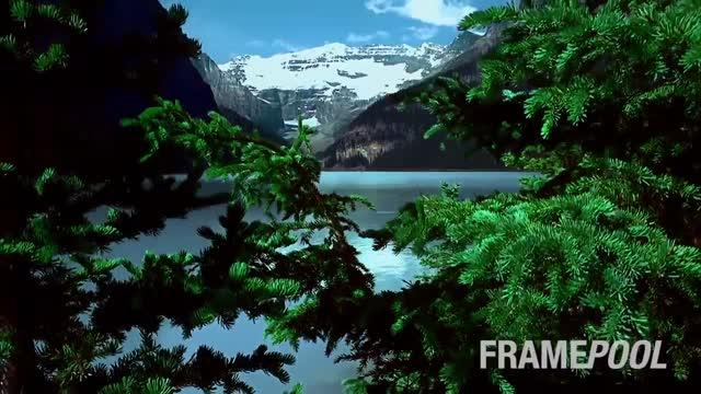 Nature Imagery Calms Prisoners