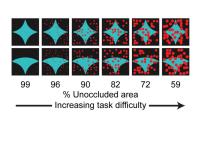 Difficulty of object identification increases with occlusion
