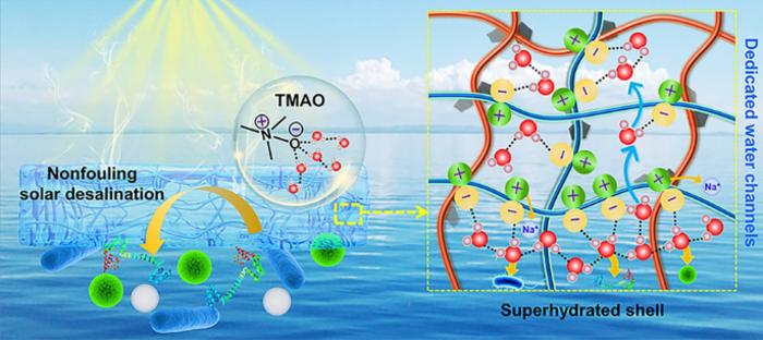 Superhydrated Zwitterionic Hydrogel with Dedicated Water Channels Enables Nonfouling Solar Desalination