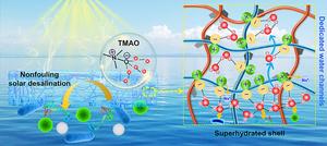 Superhydrated Zwitterionic Hydrogel with Dedicated Water Channels Enables Nonfouling Solar Desalination