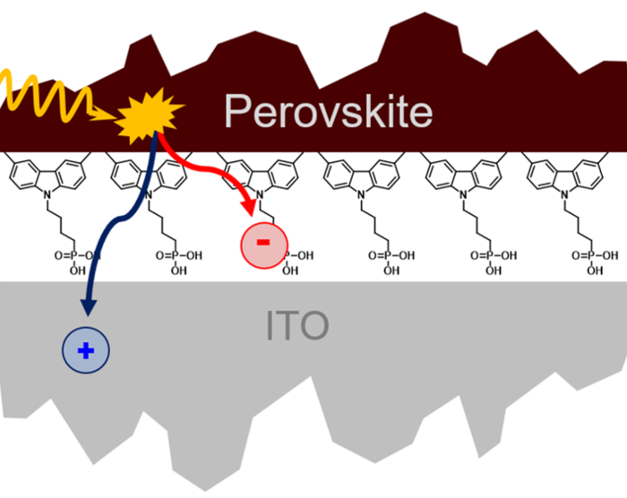 Schematic illustration