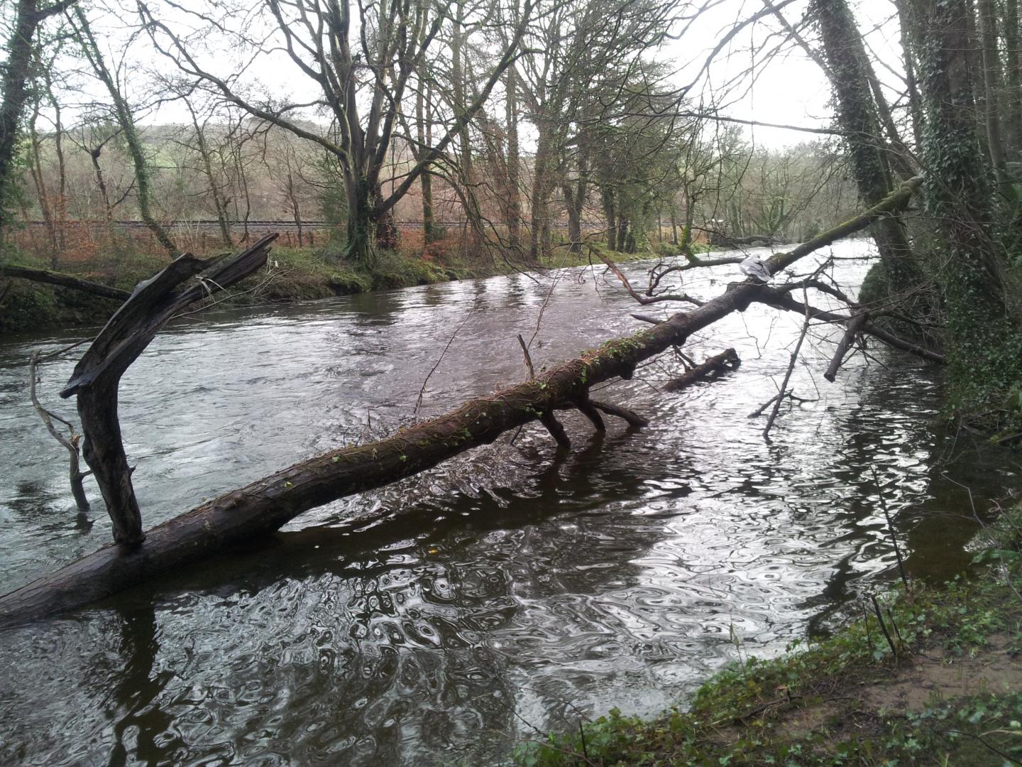 River Dart Flooding