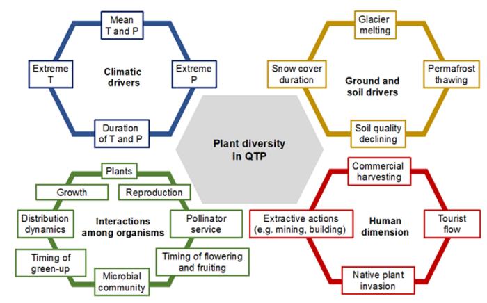Global climate change and its targets interact to affect plant diversity in QTP