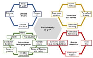 Global climate change and its targets interact to affect plant diversity in QTP