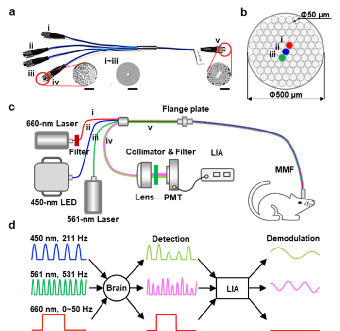 FIG 1