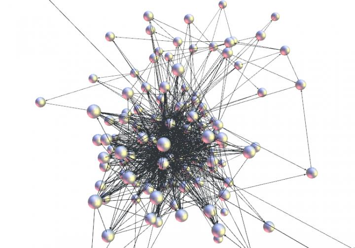 Model Food Web
