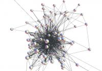 Model Food Web