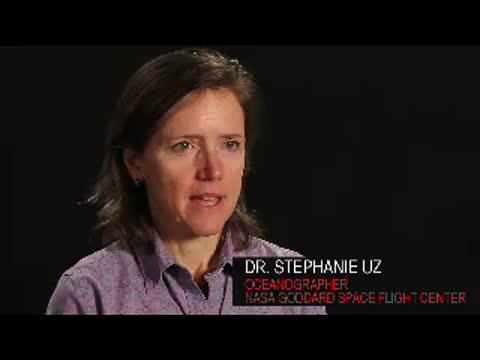 El Ni&ntilde;o years Impact on Phytoplankton