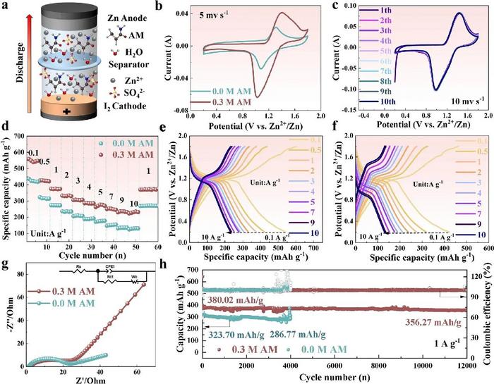 High-performance Zn-I₂ full cell enabled by the HNI.