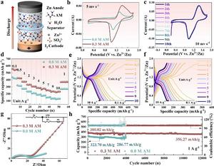 High-performance Zn-I₂ full cell enabled by the HNI.