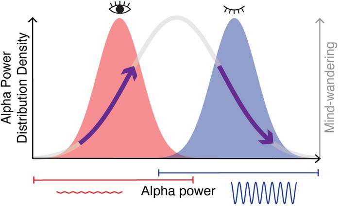 The relationship between brain activity and mind wandering