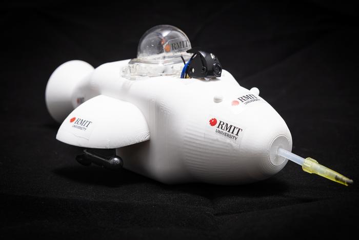 Electronic Dolphin minibot