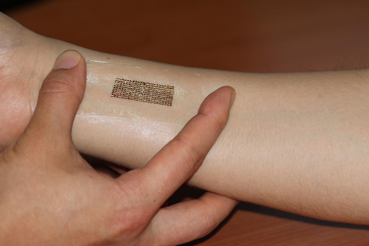 Wearable, Stretchable Memory Device Monitors Heart Rate (6 of 10)