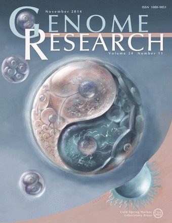 Two-Cell Embryos Contemplating Cell Fate