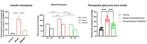 In preclinical models, ISM6200 demonstrated superior efficacy in Cushing’s syndrome and glaucoma.