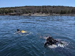 Maine Coast Dive Survey