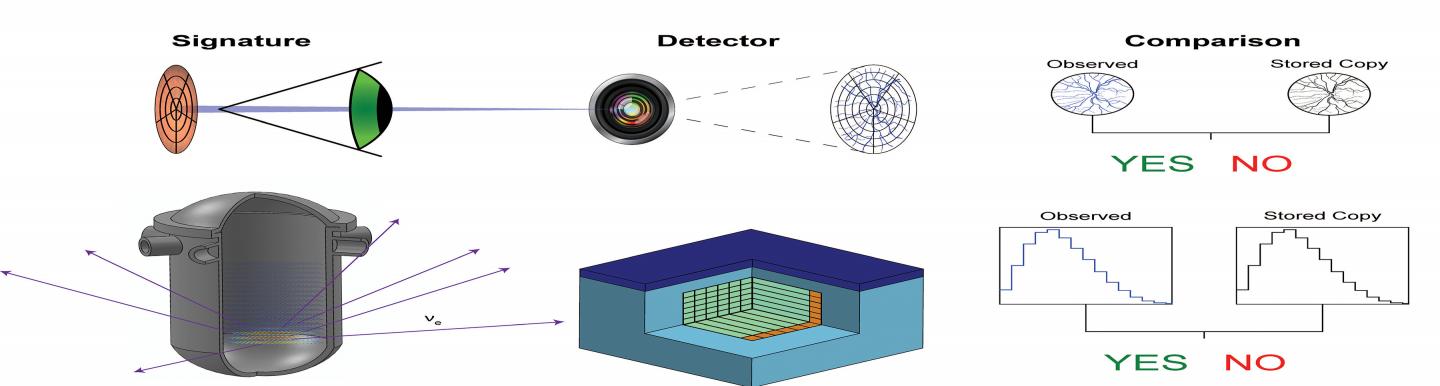 Reactor Operation Verification