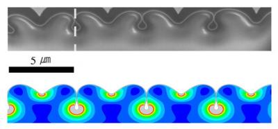 Nanopipes