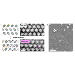 Intercalation of tungsten telluride with indium metal.