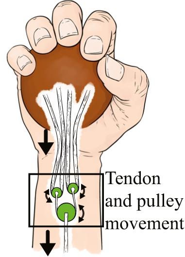 Pulley System