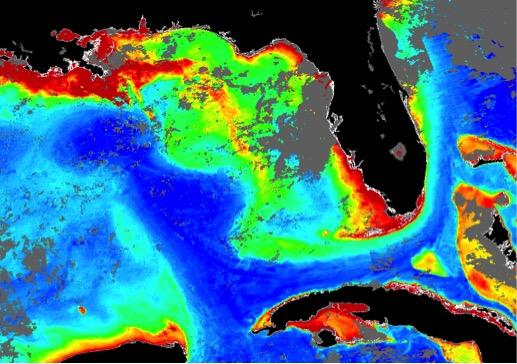 Ocean Color Image from Aug. 13, 2014