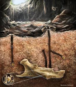 Scientific illustration of burrowing bees nesting inside of fossils