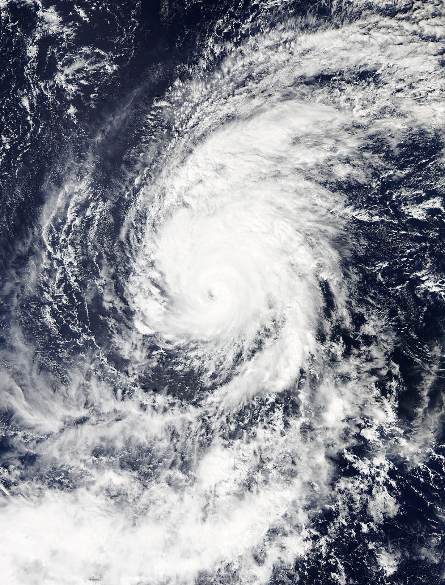 MODIS Image of Olaf
