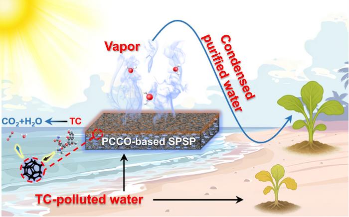 Solar-powered synergistic platform for sustainable water purification.