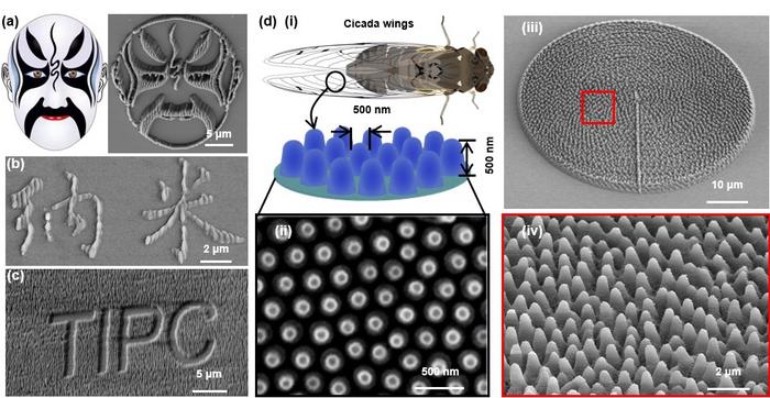 3D Turing nanowrinkles fabricated via femtosecond laser polarization-controlled photopolymerization