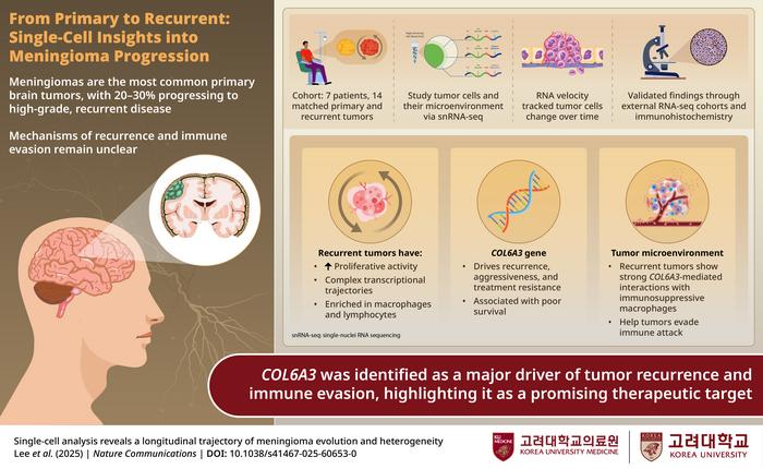 Tracing Tumor Evolution at Single-Cell Resolution
