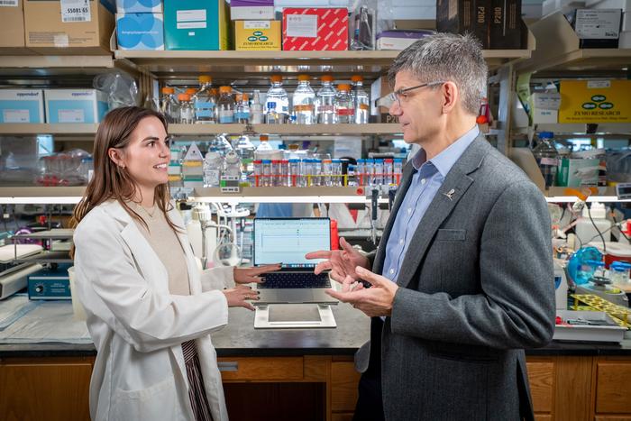 St. Jude researchers identify PHIP protein as potential therapeutic target for cancers