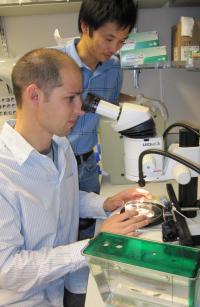 Julien Bertrand and Buyung Santoso Track Individual Stem Cells