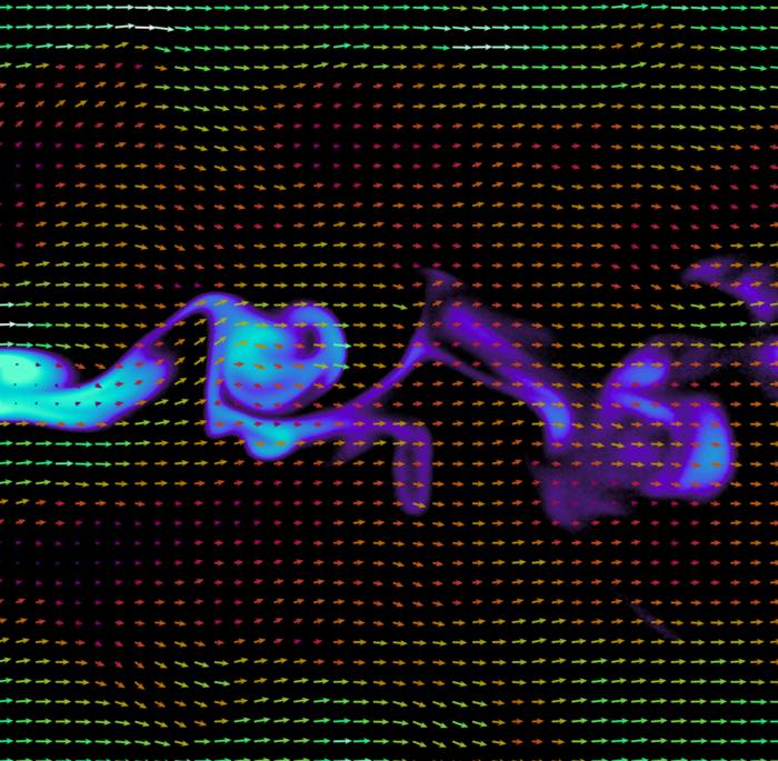Odor plume visualization