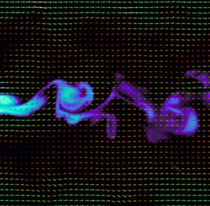 Odor plume visualization