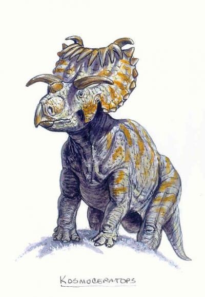 <i>Kosmoceratops</i> Fleshed Out