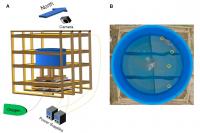 Experimental design