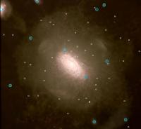 Au Stars Gas Band 