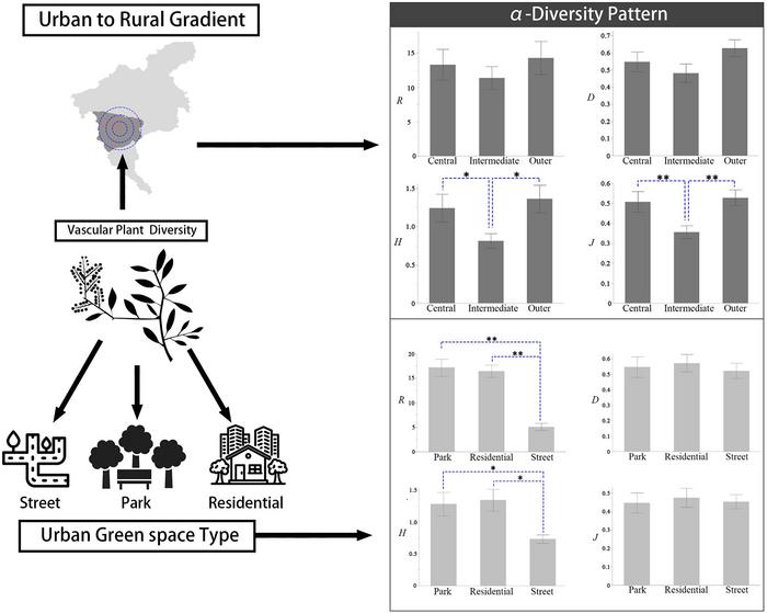 Graphical Abstract