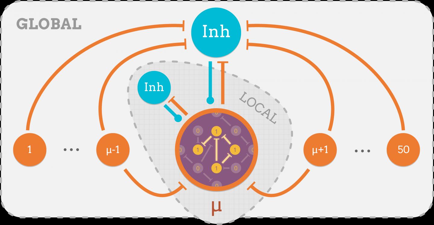 Computer Model Helps Make Sense of Human Memory