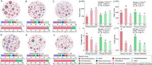 Co-occurrence patterns of rhizospheric bacterial communities as influenced by nitrogen and water supply.