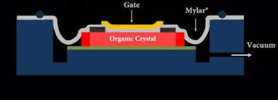 Organic Transistor Cross-Section