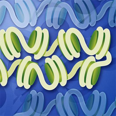 Chromatin Structure Revealed