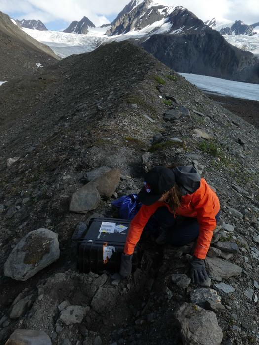 Yakutat temporary seismic array station