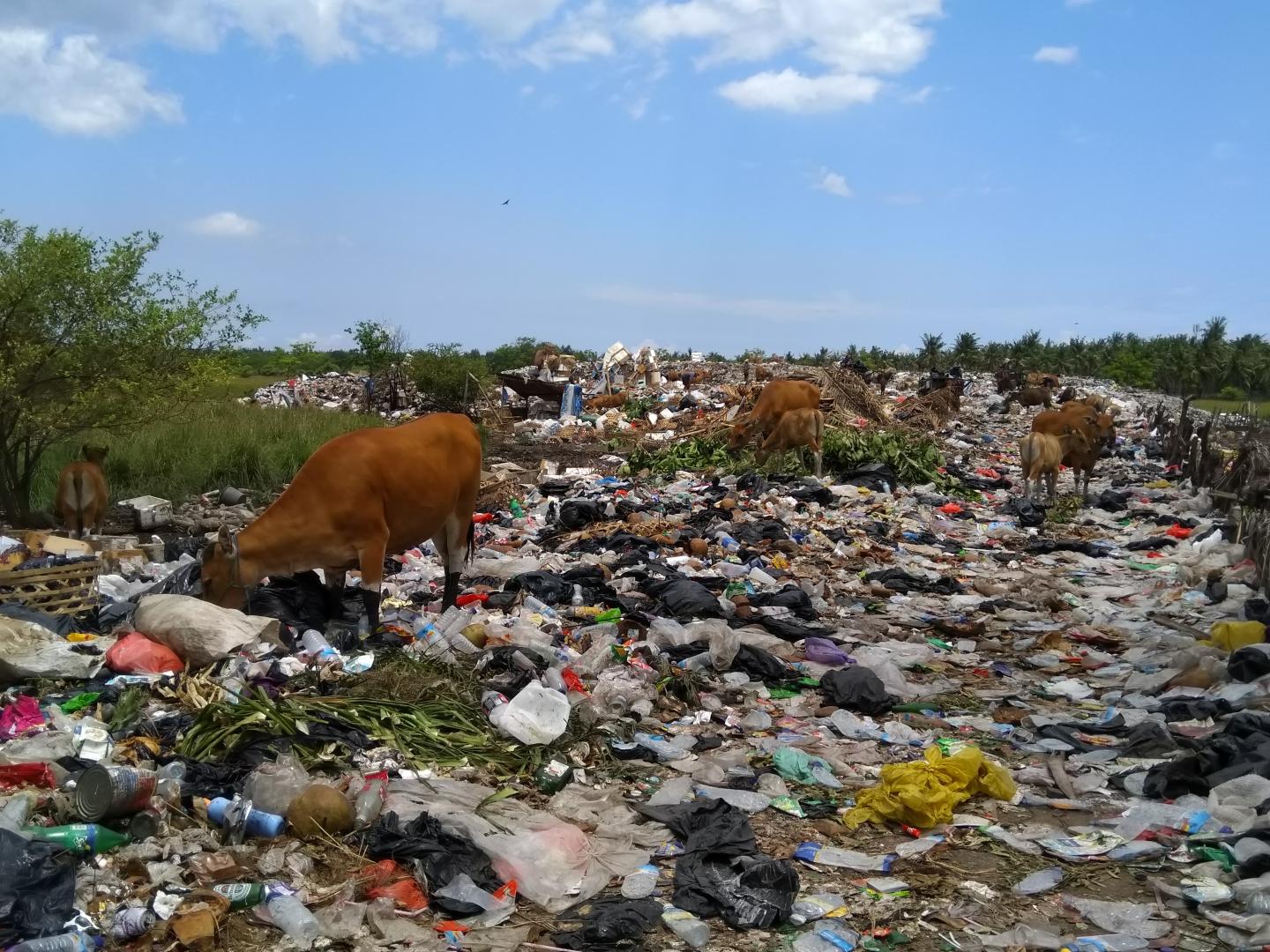Pollution