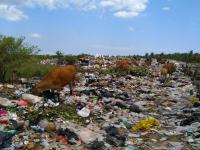 Pollution