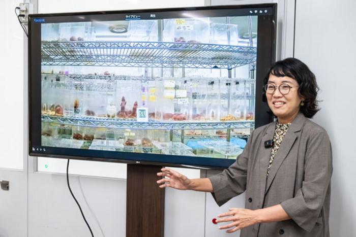 Miura explains the structure of the naked mole-rat colony using a monitor display