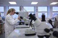 Analysing samples for microfibres