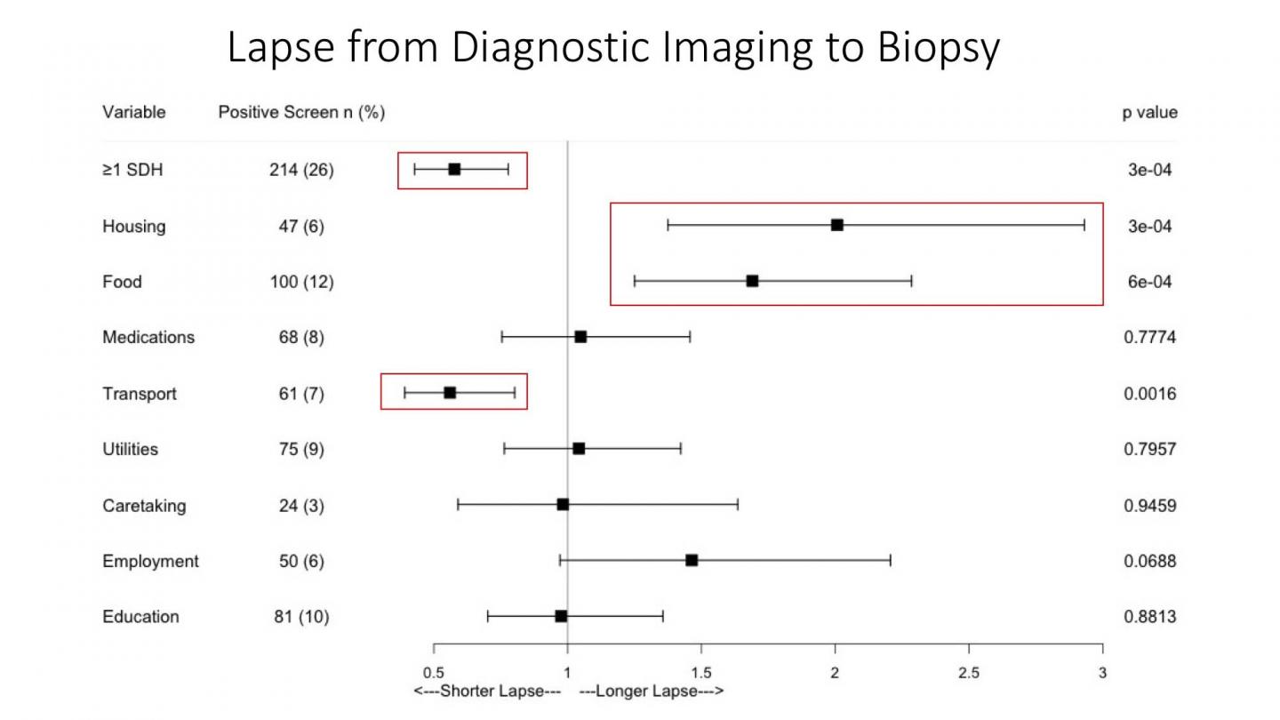 Food, Housing Insecurities May Delay Breast Cancer Diagnosis