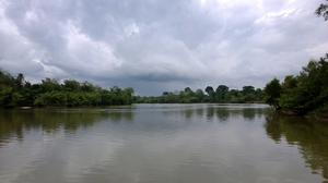 Photograph taken in the Amazon